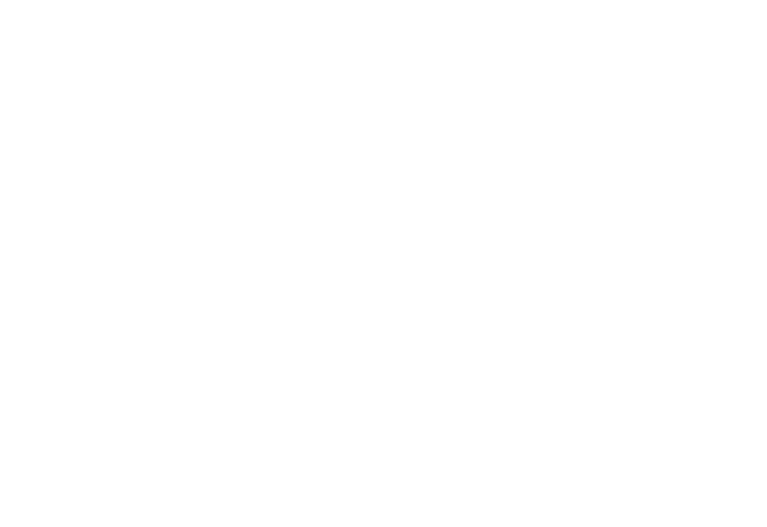 logo alma libre bianco